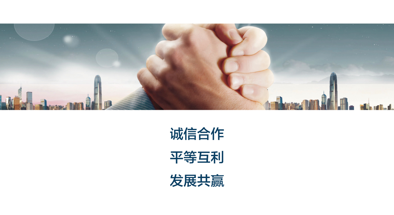 中国PPP基金标志logo设计+VI设计