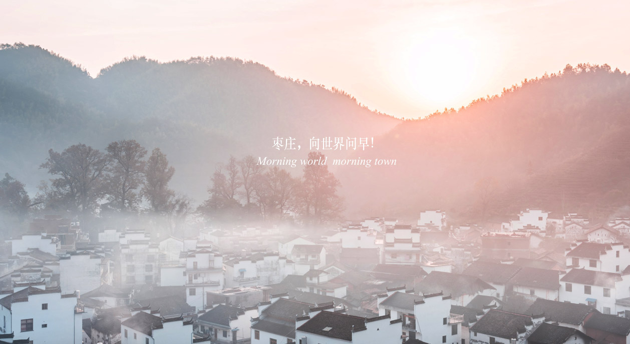 枣庄logo设计02.jpg